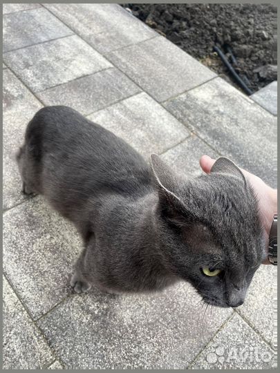 Тротуарная плитка листопад от 120 м2