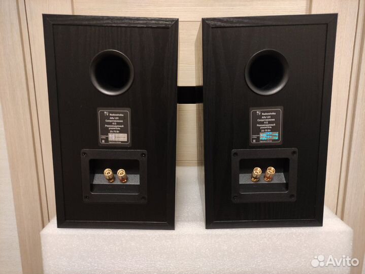 Акустика Radiotehnika alfa1.01 и smsl a300