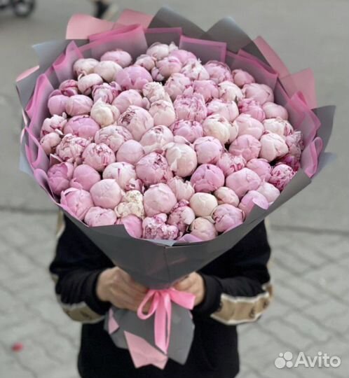 Голландский пионы сара бернар по 169