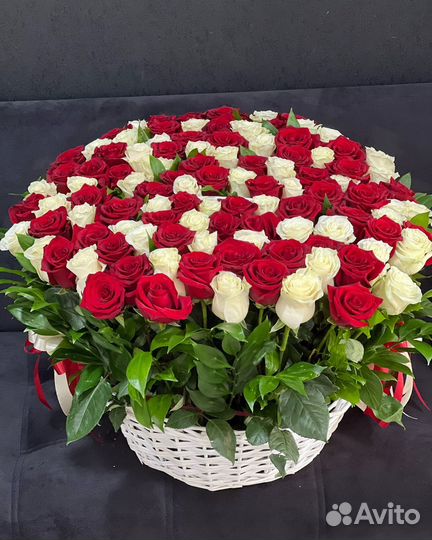 Роза/ 51,101,201,301 роза