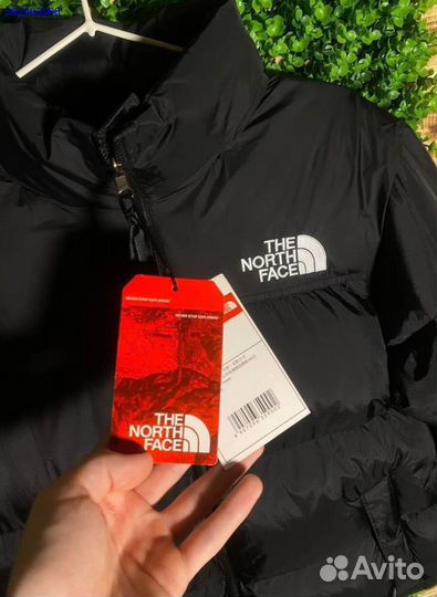 Пуховик The North Face 700