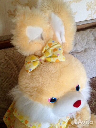 Большой милый заяц