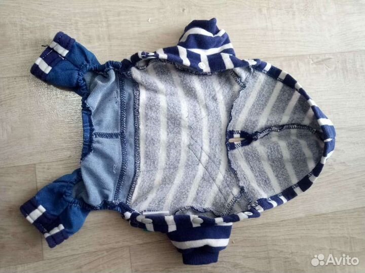 Костюм для собаки