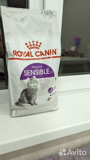 Корм для кошек