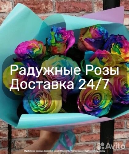 Радужные розы Москва мо 24