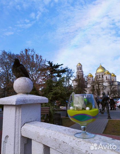 Флорариум из Суккулентов