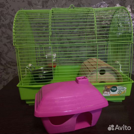 Клетка для грызунов бу