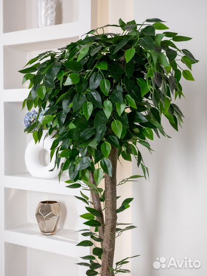 Искусственное дерево фикус