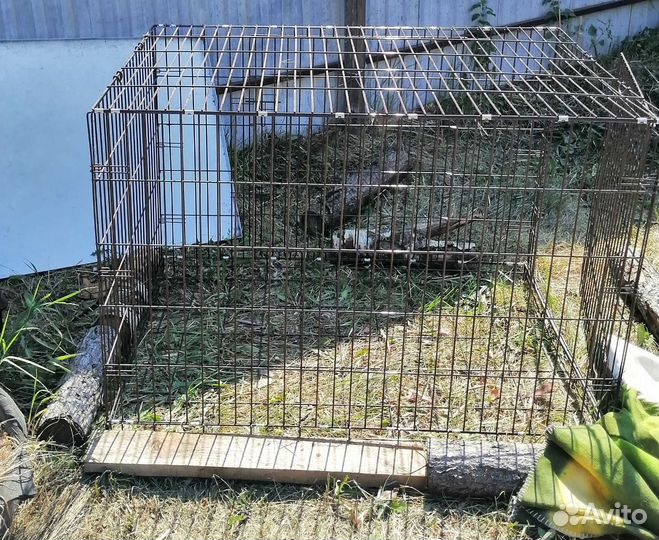 Клетка вольер для собак