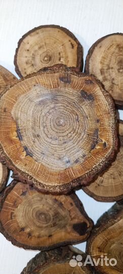 Спилы из дуба