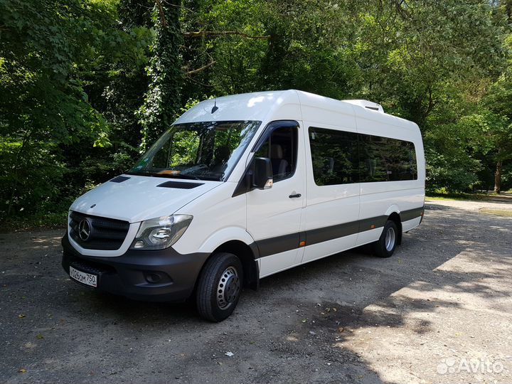 Трансфер, аренда автобуса 19 мест