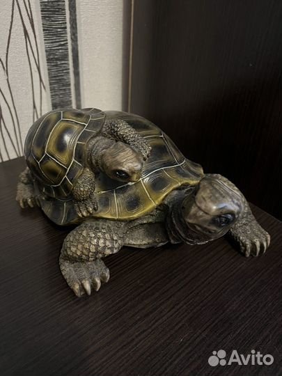Черепаха фигурная