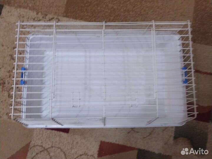 Клетки для морской свинк