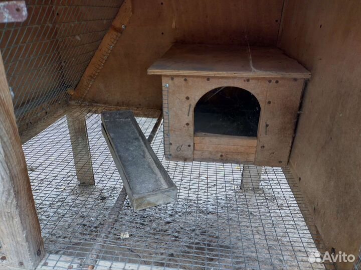 Уличный Крольчатник