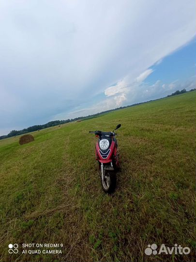 Racer sagita