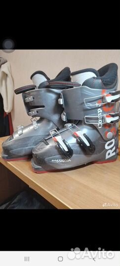 Горные лыжи