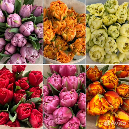 Тюльпаны пионовидные оптом и в розницу