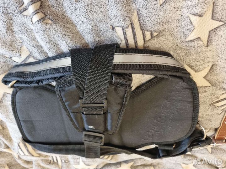 Шлейка ошейник комбез