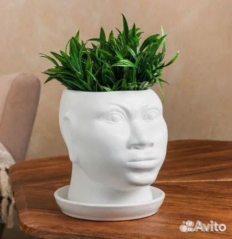 Кашпо в виде головы