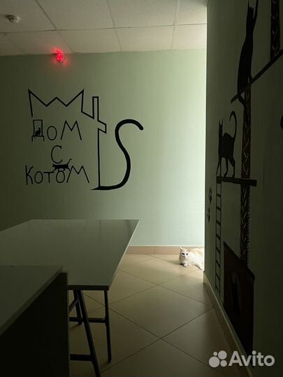 Зоогостиница Дом С Котом