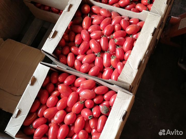 Картошка с доставкой