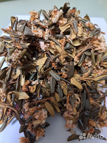 Саган Дайля,Саган Дали,Белое крыло