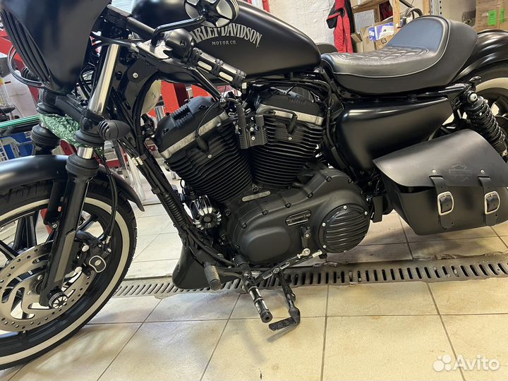 Harley Davidson Sportster Iron XL883N