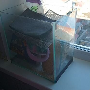 Аквариум для ваших любимых рыбок