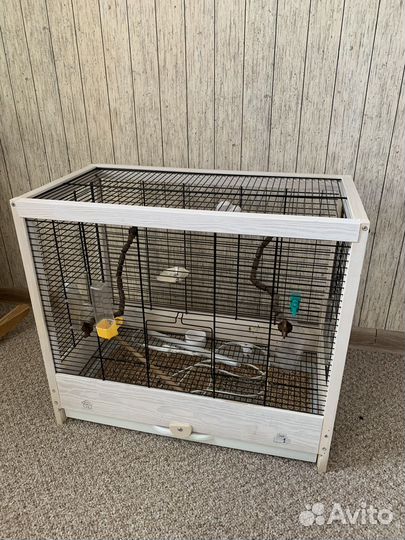 Клетки для птиц красивые
