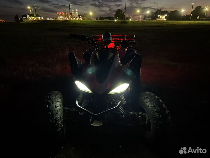 Wasabi 250