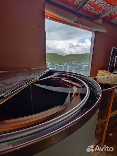 Мёд Алтайский - предгорье - 2023