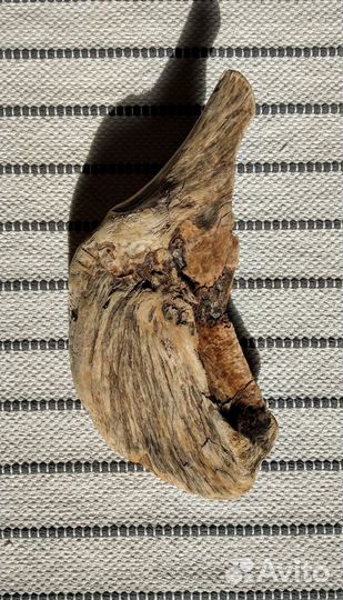 Дрифтвуд коряга 32*16 см