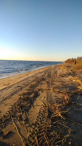 Участок 50 сот. (ИЖС)