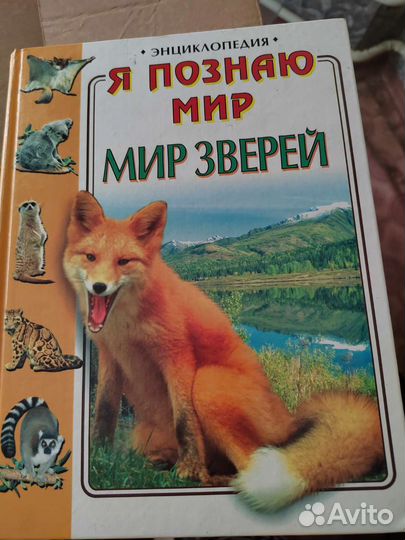 Энциклопедия