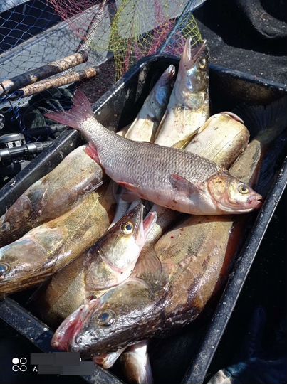 Дом 32 м² на участке 20 сот.