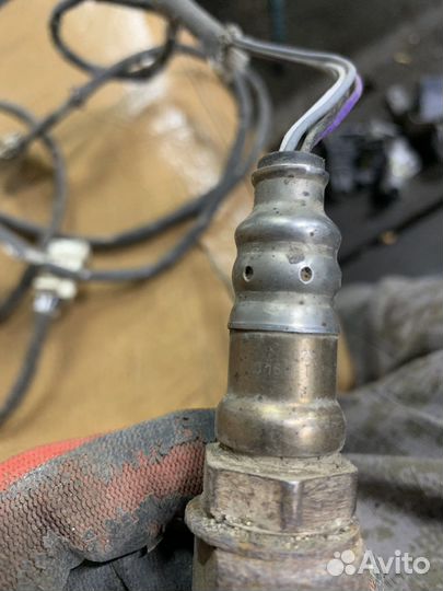 Датчик кислородный Peugeot 307