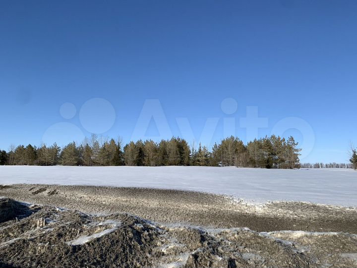 Участок 20 га (СНТ, ДНП)