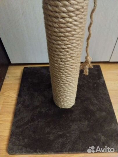 Когтеточка