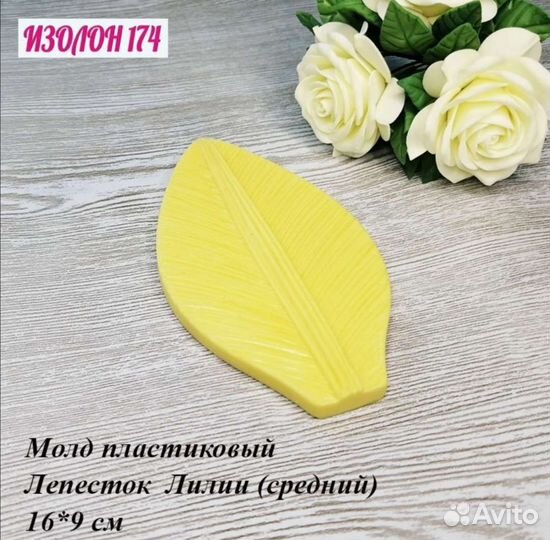 Молды, вайнеры