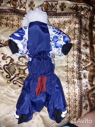 Зимний комбинезон для мелкой собачки)