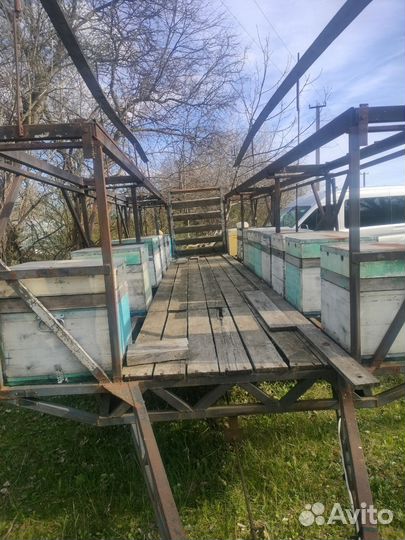 Прицеп,улья, обрезной стол, медогонка
