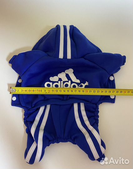 Костюм для собаки