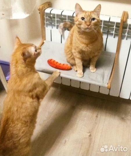 Гамак для кошек на батарею