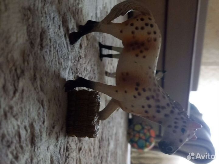 Attivio Лошади