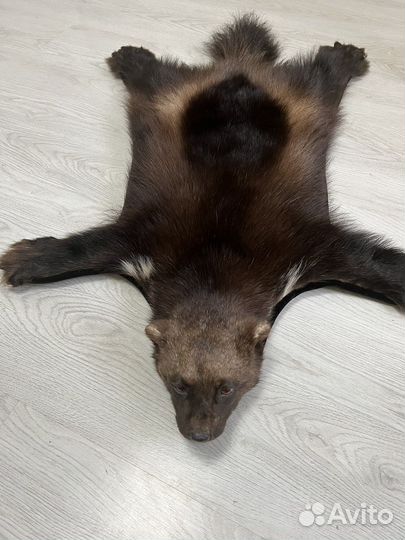 Чучело