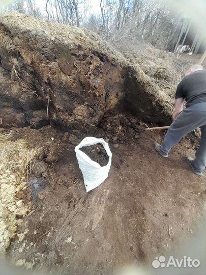 Продам перегной коровий, есть свежий навоз
