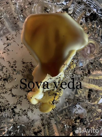 Отливка воском чистка