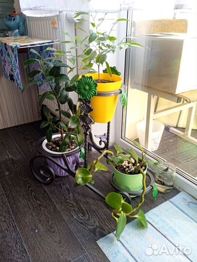 Кованая подставка для цветов