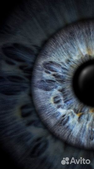 Фото радужки глаза