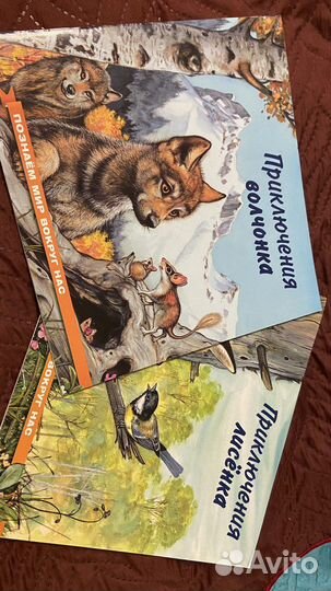 Приключения животных